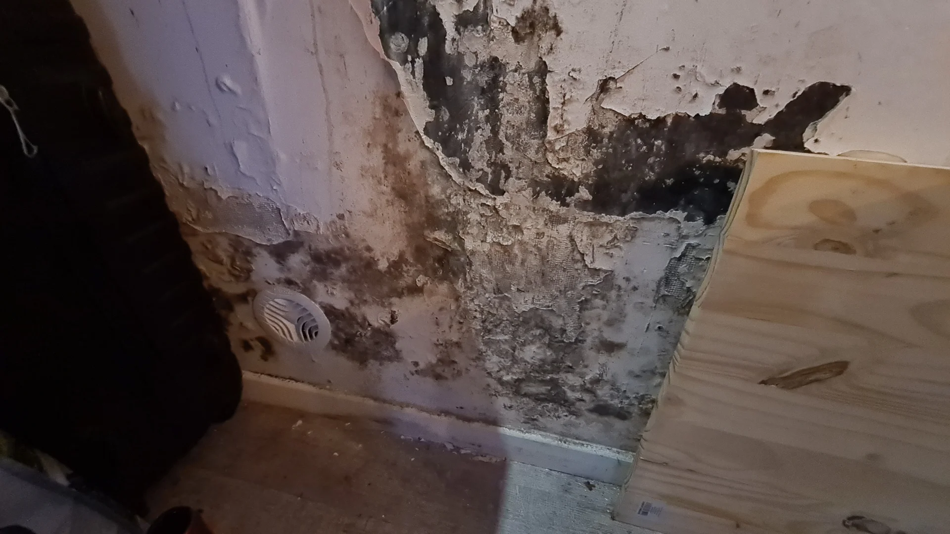 Exemple de expert humidité dans une maison